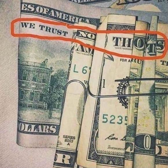 Meet your Posher, Brandon - Picture 1 of 1